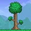 Terraria