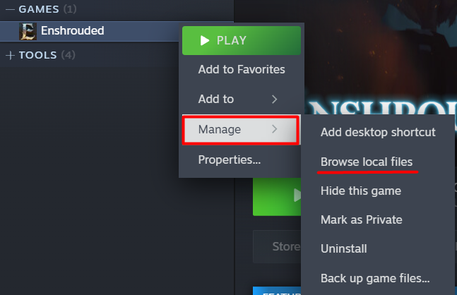 Steam