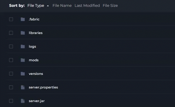 File Manager